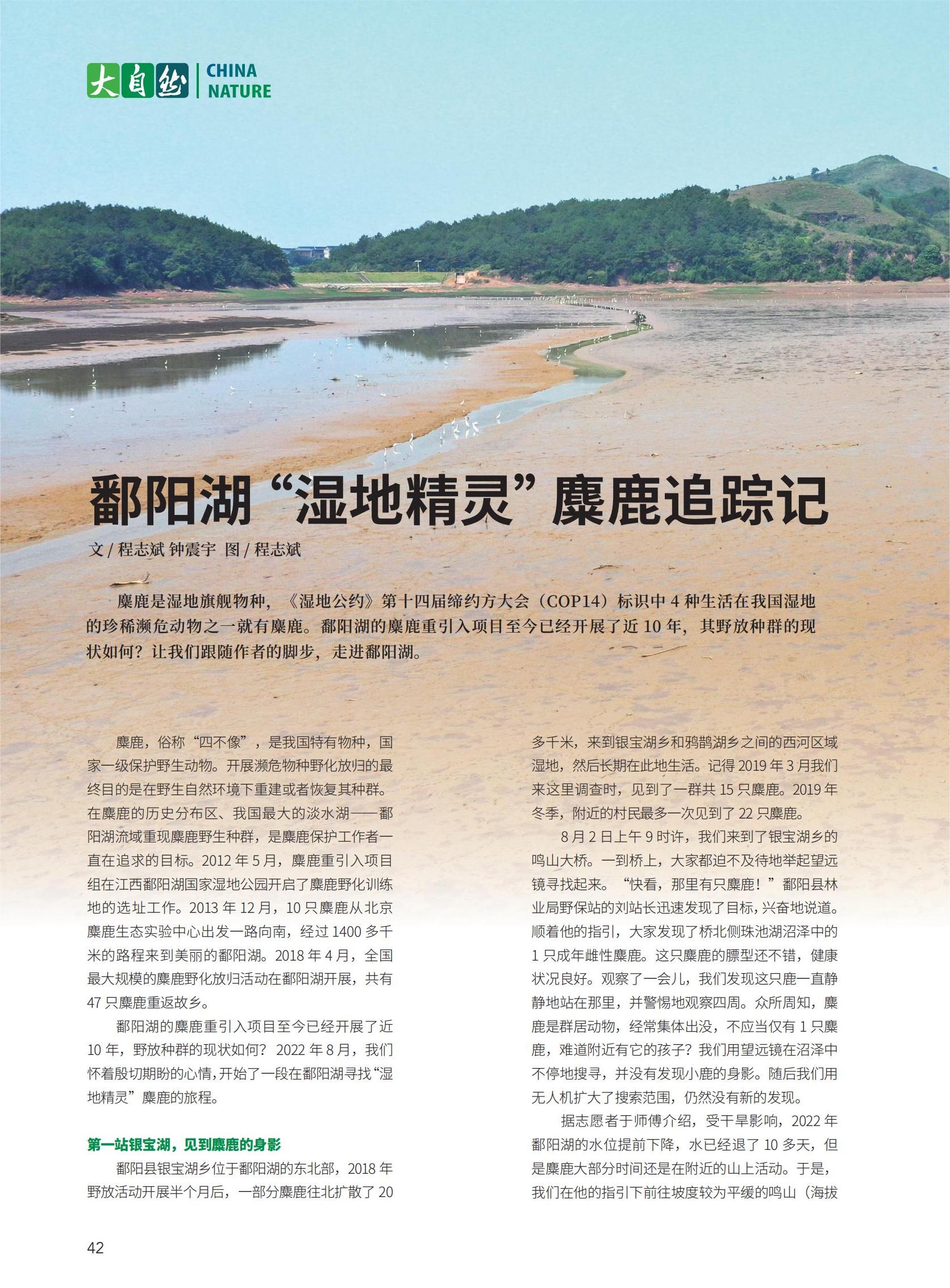 42-45鄱阳湖“湿地精灵”麋鹿追踪记_00.jpg