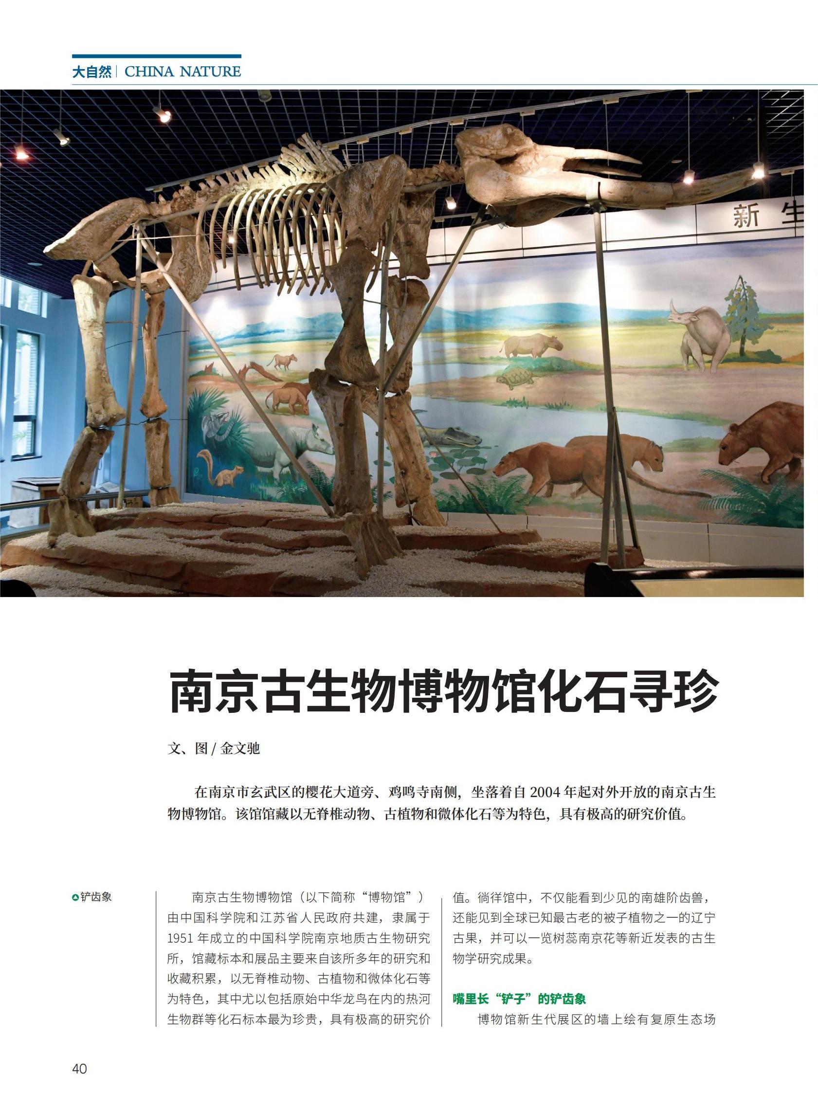 40-45南京古生物博物馆化石寻珍_00.jpg