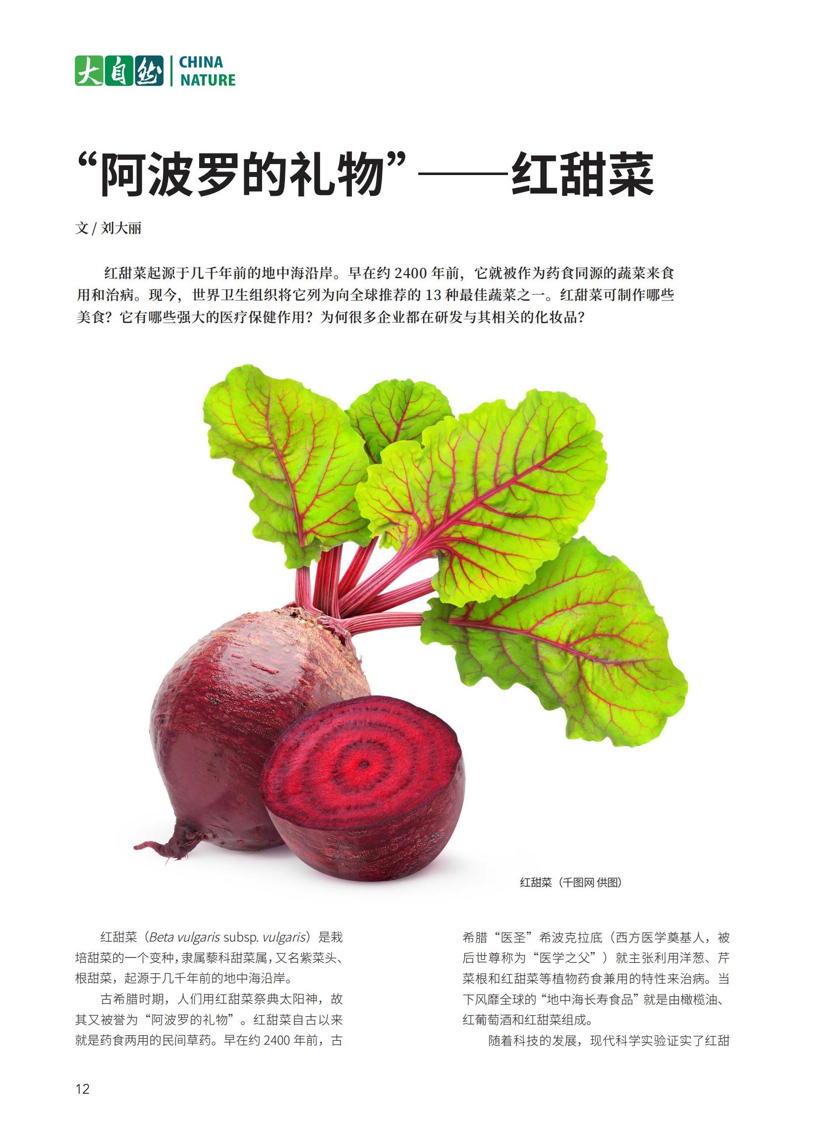 12“阿波罗的礼物”——红甜菜-刘大丽_00.jpg