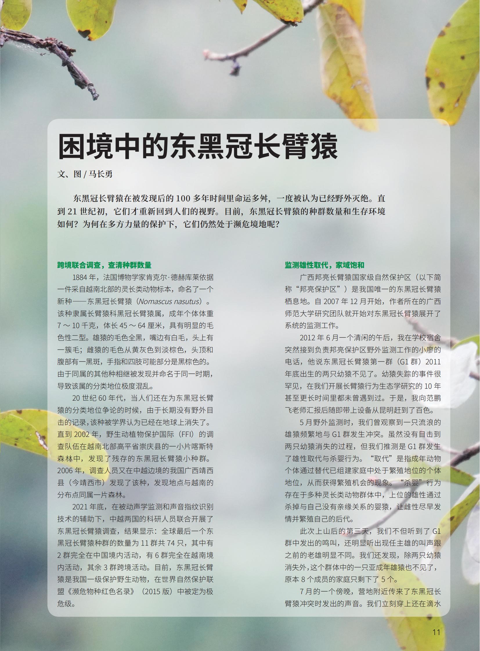 大自然2024-4PDF7.29_12(1).jpg