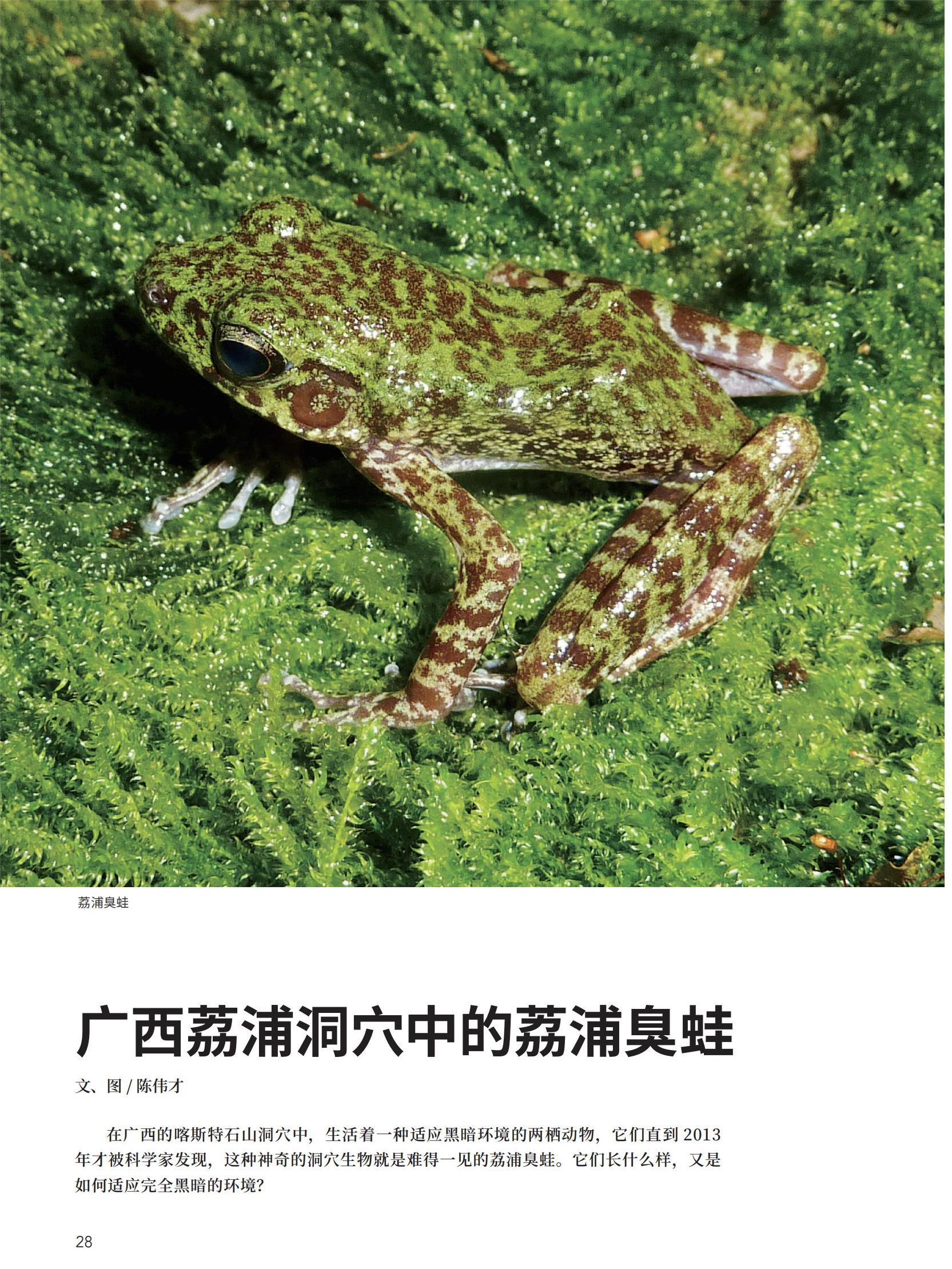 大自然2024-4PDF7.29_29.jpg