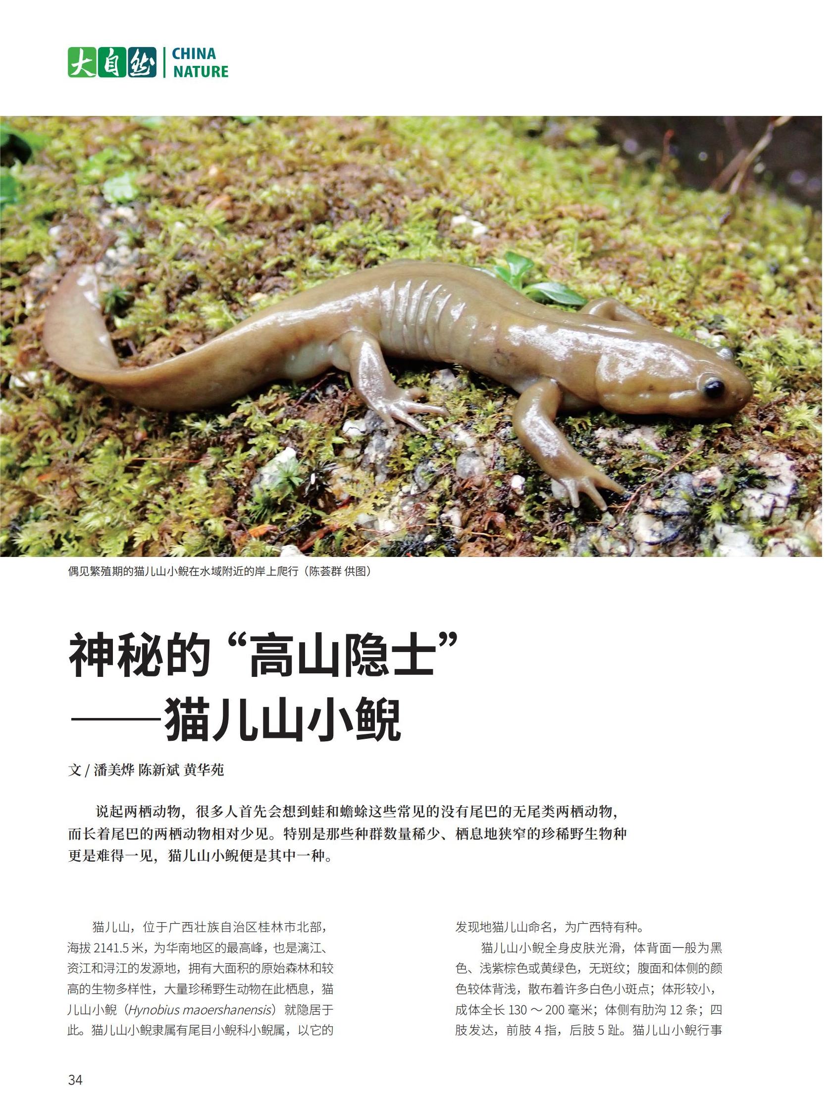 大自然2024-4PDF7.29_35.jpg