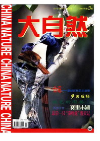 2003年第3期(总111期)