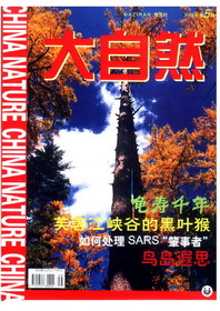 2003年第5期(总113期)